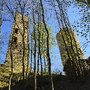 Burgruine Reifenberg