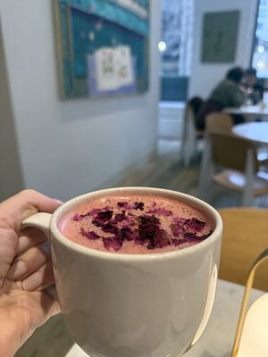 Spring Cafe Aspen by null