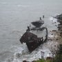 Photo of HMQS Gayundah Shipwreck