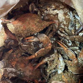 Crab Time - Seafood Near Me - Accokeek, Maryland Crab Time - Seafood Near Me - Accokeek, Maryland