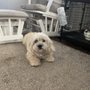 Photo of South Jersey Regional Animal Shelter