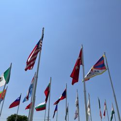 Skokie Festival of Cultures - Flags