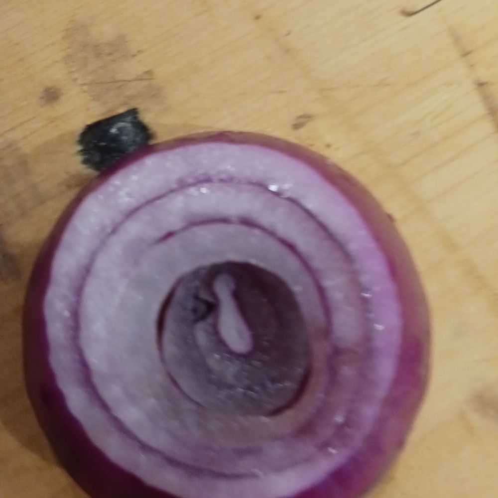 The Draft Room - Rotted onions on my sandwich yum. - Brewpubs Near Me - Buffalo, New York