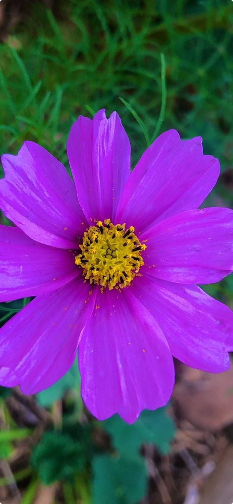 Four Seasons Massage