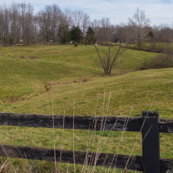 Glenview Farm - Rolling hills. - Horseback Riding Near Me - Morrow, Ohio
