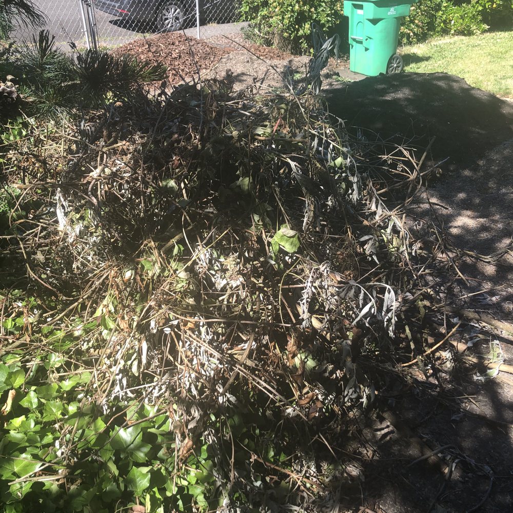 Xtreme Haul - I had like 10 piles like these, they're all gone!! - Junk Removal & Hauling Near Me Xtreme Haul - I had like 10 piles like these, they're all gone!! - Junk Removal & Hauling Near Me