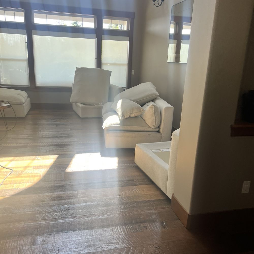 Chubby Chubby Carpet Cleaner - Sofa and love seat cleaning - Carpet Cleaning Near Me - Puyallup, Washington