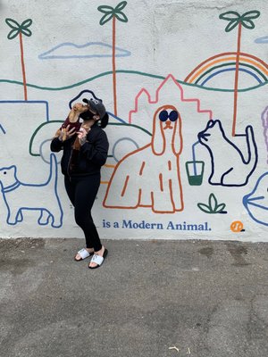 Modern Animal West Hollywood by null