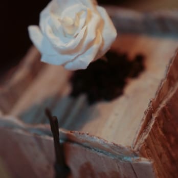 Jasmine Rae Bakery - Bakeries Near Me - San Francisco, California Jasmine Rae Bakery - Bakeries Near Me - San Francisco, California