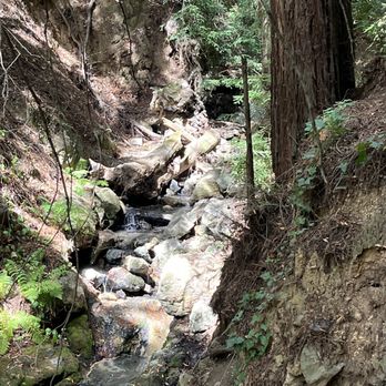 Leona Heights Park - Babbling brook - Parks Near Me - Oakland, California Leona Heights Park - Babbling brook - Parks Near Me - Oakland, California