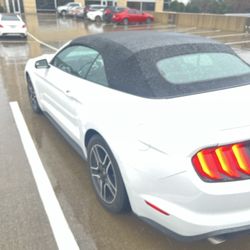 Intellegated Enterprises - Mustang