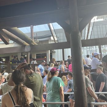 Dollywood - A VERY long line for fire chaser express - Amusement Parks Near Me - Pigeon Forge, Tennessee Dollywood - A VERY long line for fire chaser express - Amusement Parks Near Me - Pigeon Forge, Tennessee