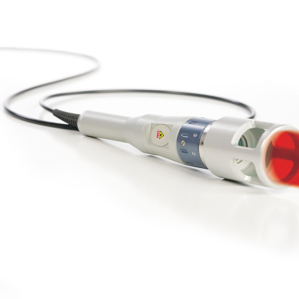 TOP 10 BEST Bulldog Vet in Orange County, CA - Updated 2026 - Yelp