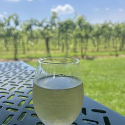 Buckingham Valley Vineyards & Winery - Chardonnay