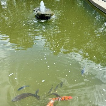 Katy City Park - Parks Near Me - Katy, Texas