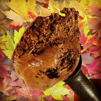 Cream Northwest by null