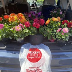 Grocery Outlet - Thank you Lakeport Grocery Outlet for the great price es on all these BEAUTIFUL PLANTS