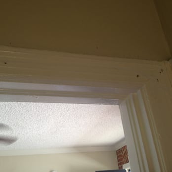 Wilshire Skyline - huge nail holes and cracks - Property Management Near Me - Beverly Hills, California