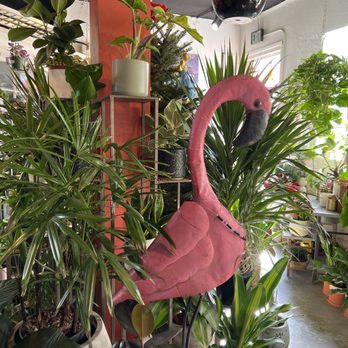 Plant Garage - Home Decor Near Me - Denver, Colorado Plant Garage - Home Decor Near Me - Denver, Colorado