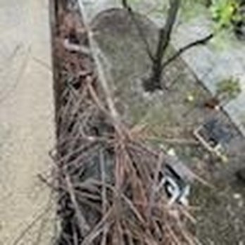 Alaska Solutions - (Before photo) Backyard gutter by fruit trees - Window Washing Near Me