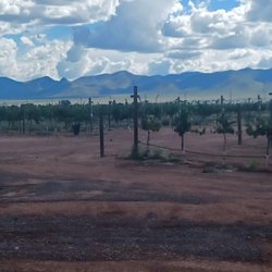 Hofmann Vineyards - The grapes