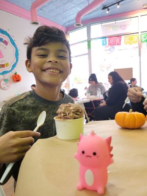 Chiquita Scoops by null