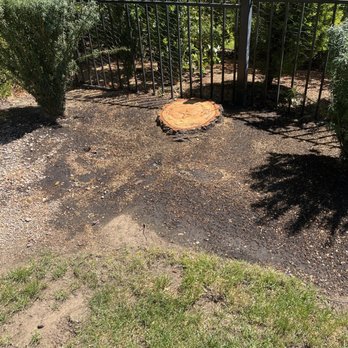 Loyal Tree Care - What's left of the tree! - Tree Services Near Me