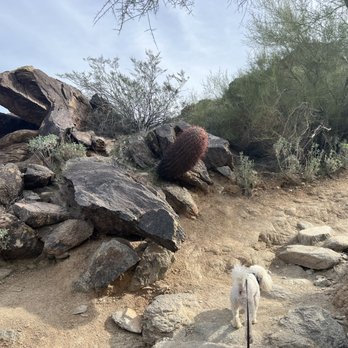 Mormon Trailhead - Hiking Near Me - Phoenix, Arizona Mormon Trailhead - Hiking Near Me - Phoenix, Arizona