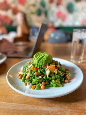 The Clover and the Bee by null