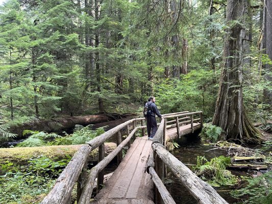 Tamolitch Falls (Blue Pool) by null