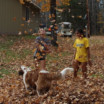 Walmart Supercenter - two children and a dog playing in the leaves - Department Stores Near Me - Houghton, Michigan Walmart Supercenter - two children and a dog playing in the leaves - Department Stores Near Me - Houghton, Michigan