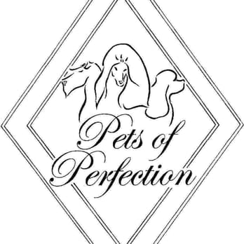 Pets of Perfection - Pet Groomers Near Me - Boynton Beach, Florida Pets of Perfection - Pet Groomers Near Me - Boynton Beach, Florida