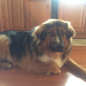 It's A Barking Lot - Pet Groomers Near Me - Brookings, Oregon It's A Barking Lot - Pet Groomers Near Me - Brookings, Oregon