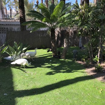 Gestur Huerto del Cura - Outside - Amusement Parks Near Me - Elche/elx, A