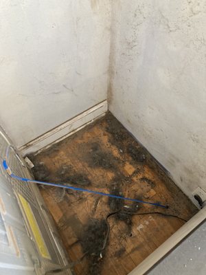 We Clean So You Don't Have To! - At Swift Cleaning Pros, our mission is to transform the greater Kansas City area, one spotless home and sparkling office at a time, with a blend of dedication and professionalism that stems from strong family values. As a small, family-owned business, we thrive on creating lasting relationships with our clients. We believe in offering comprehensive cleaning solutions tailored to meet individual needs, ensuring each space feels refreshed and immaculate. Your satisfaction is our top priority, as we strive for 100% client happiness with every visit. We take great pride in working closely with highly vetted cleaners who share our values of excellence and reliability. At Swift Cleaning Pros, we make it easy for you to enjoy a worry-free, clean space, allowing you to focus on what truly matters. We Clean So You Don't Have To! - At Swift Cleaning Pros, our mission is to transform the greater Kansas City area, one spotless home and sparkling office at a time, with a blend of dedication and professionalism that stems from strong family values. As a small, family-owned business, we thrive on creating lasting relationships with our clients. We believe in offering comprehensive cleaning solutions tailored to meet individual needs, ensuring each space feels refreshed and immaculate. Your satisfaction is our top priority, as we strive for 100% client happiness with every visit. We take great pride in working closely with highly vetted cleaners who share our values of excellence and reliability. At Swift Cleaning Pros, we make it easy for you to enjoy a worry-free, clean space, allowing you to focus on what truly matters.
