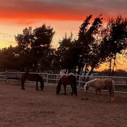 Shoestring City Ranch - Sunset in Phelan at Shoestring City Ranch