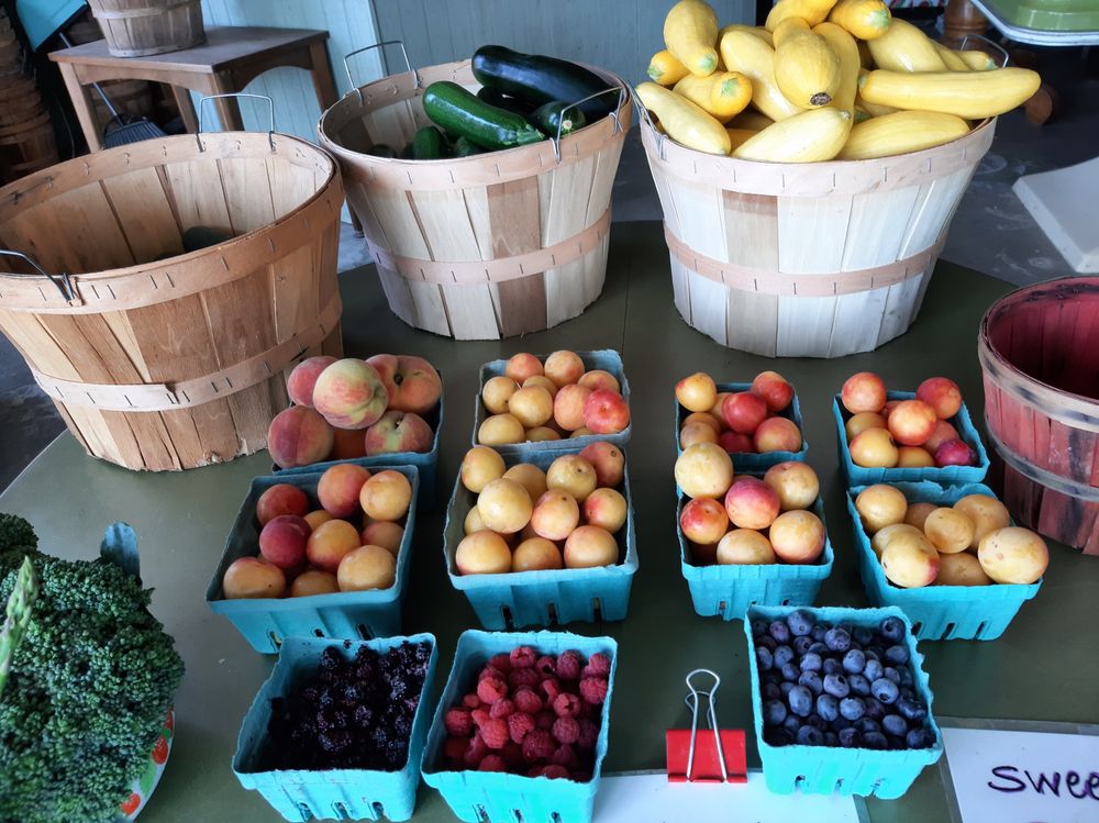 Berry Best Farms Logo