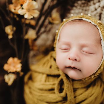 Twig & Olive Photography - Newborn Photography - Session Photography Near Me - Madison, Wisconsin Twig & Olive Photography - Newborn Photography - Session Photography Near Me - Madison, Wisconsin