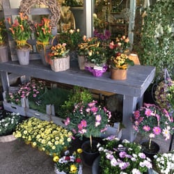 Maison des Fleurs