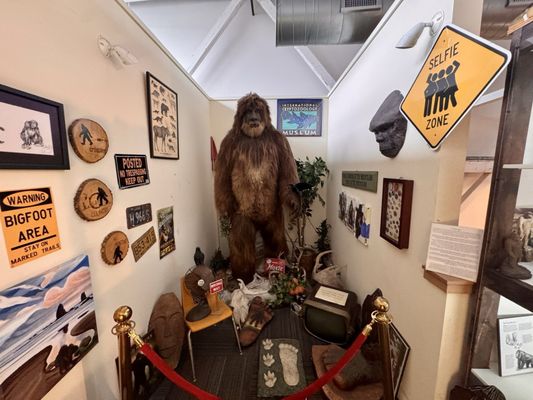 International Cryptozoology Museum by null