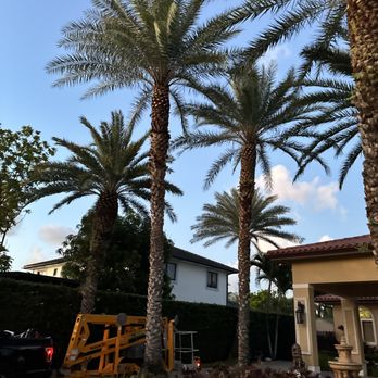 Héctor Tree Service - Tree Services Near Me - North Lauderdale, Florida
