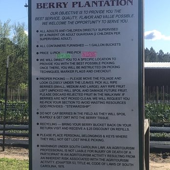 Gurosik's Berry Plantation - information about the berry plantation - Farmers Market Near Me - North Augusta, South Carolina Gurosik's Berry Plantation - information about the berry plantation - Farmers Market Near Me - North Augusta, South Carolina