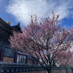 Han MA Um Zen Center of New York - Beautiful views of temple