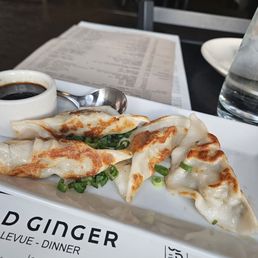 Chicken potstickers hh menu $8