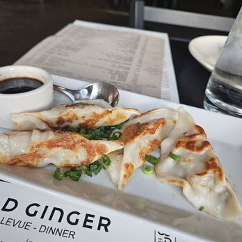 Wild Ginger - Chicken potstickers hh menu $8 - Wine Bars Near Me - Bellevue, Washington