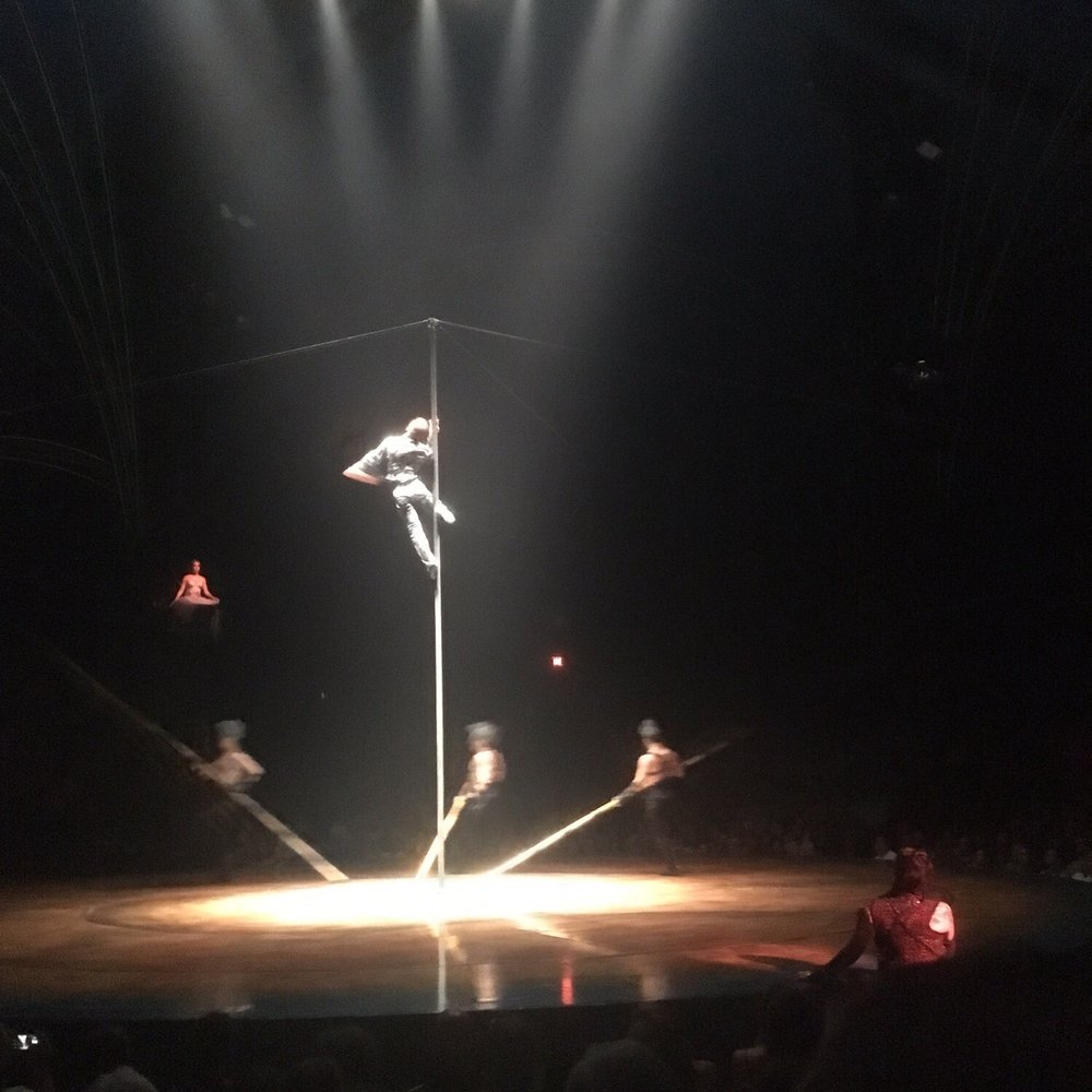 Aerialist using pole