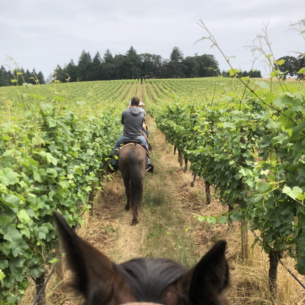 Equestrian Wine Tours - Venues & Event Spaces Near Me - Carlton, Oregon