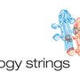 Photo of Anthology Strings