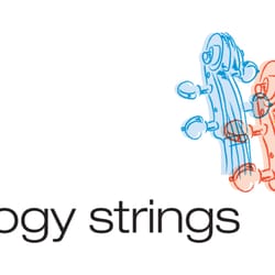 Anthology Strings - the Anthology Strings