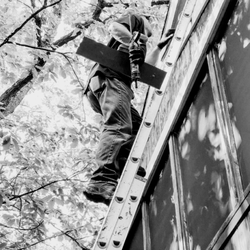 Animal & Rodent Problem Solvers - Animal proofing structures